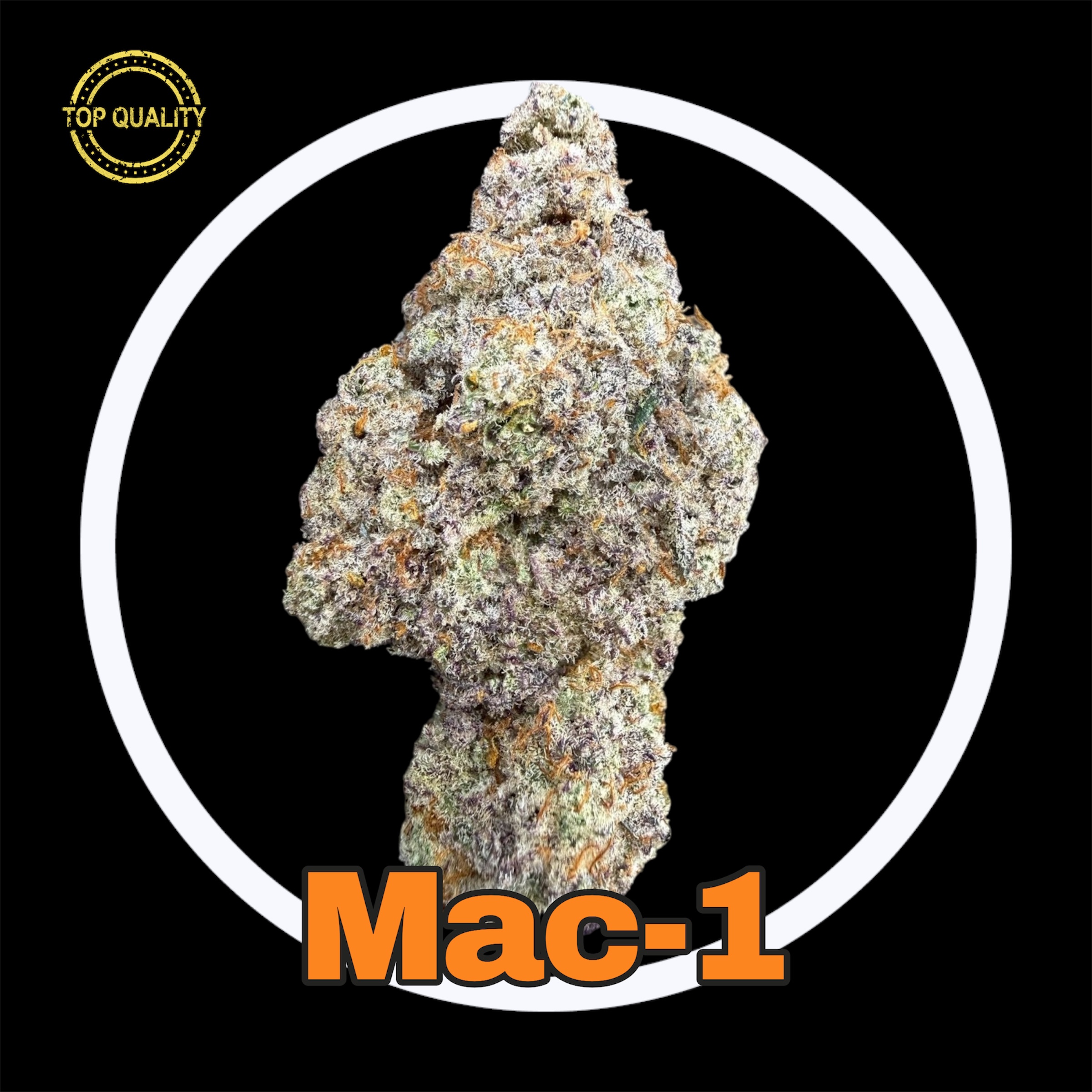 22-02-26 08-00-24pm.jpg